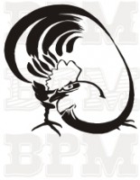 /album/vtaky/vtaky-13-jpg/